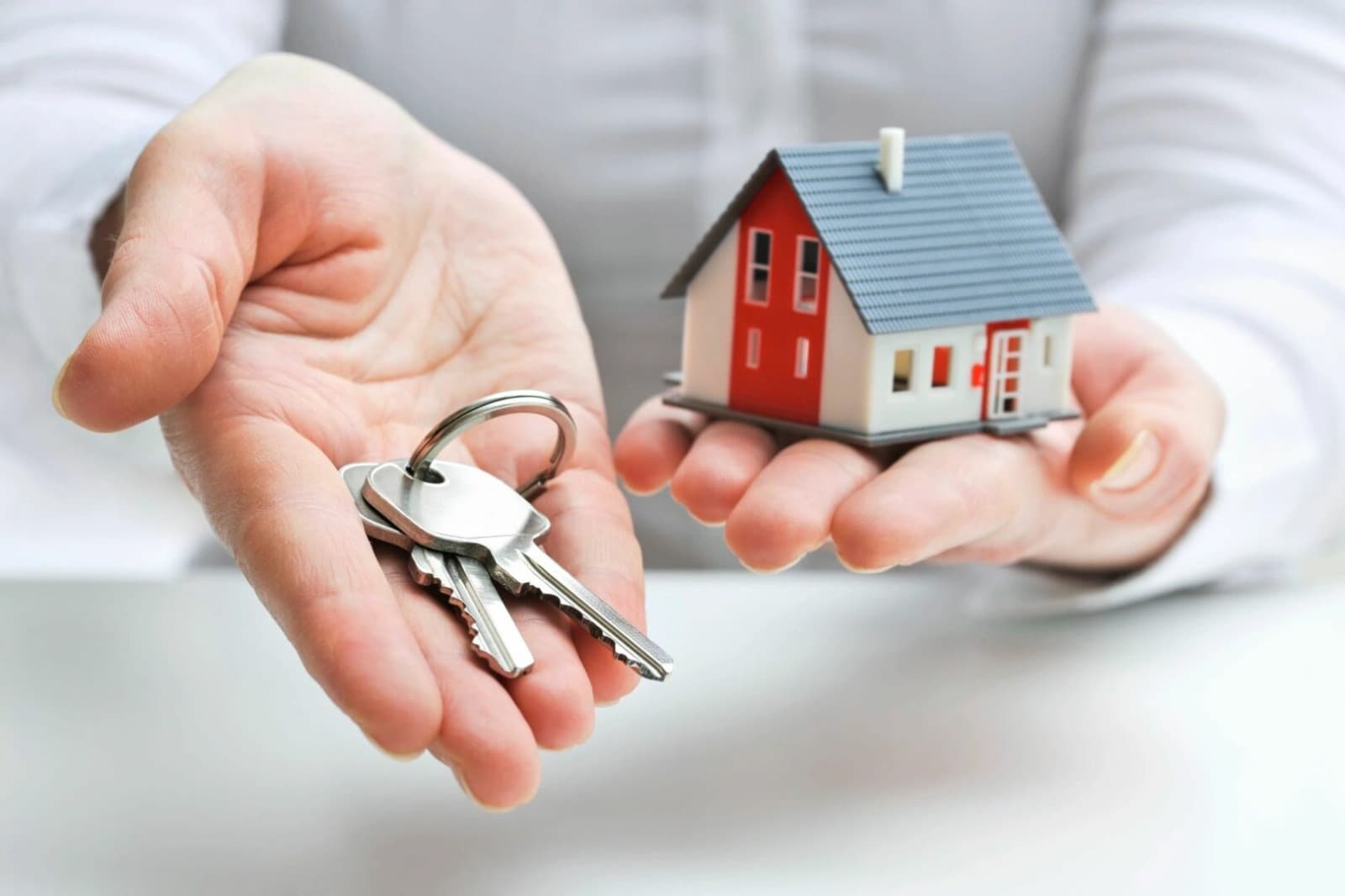 Real Estate Agency | Trusted Property Experts at Pointer