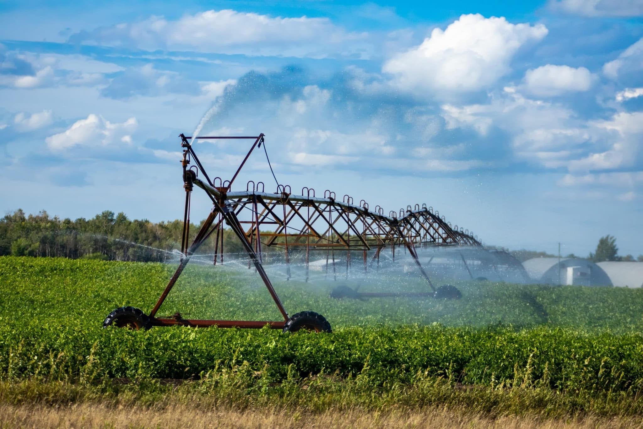 Professional Irrigation Services in Springtown, TX for Residential and Commercial Needs
