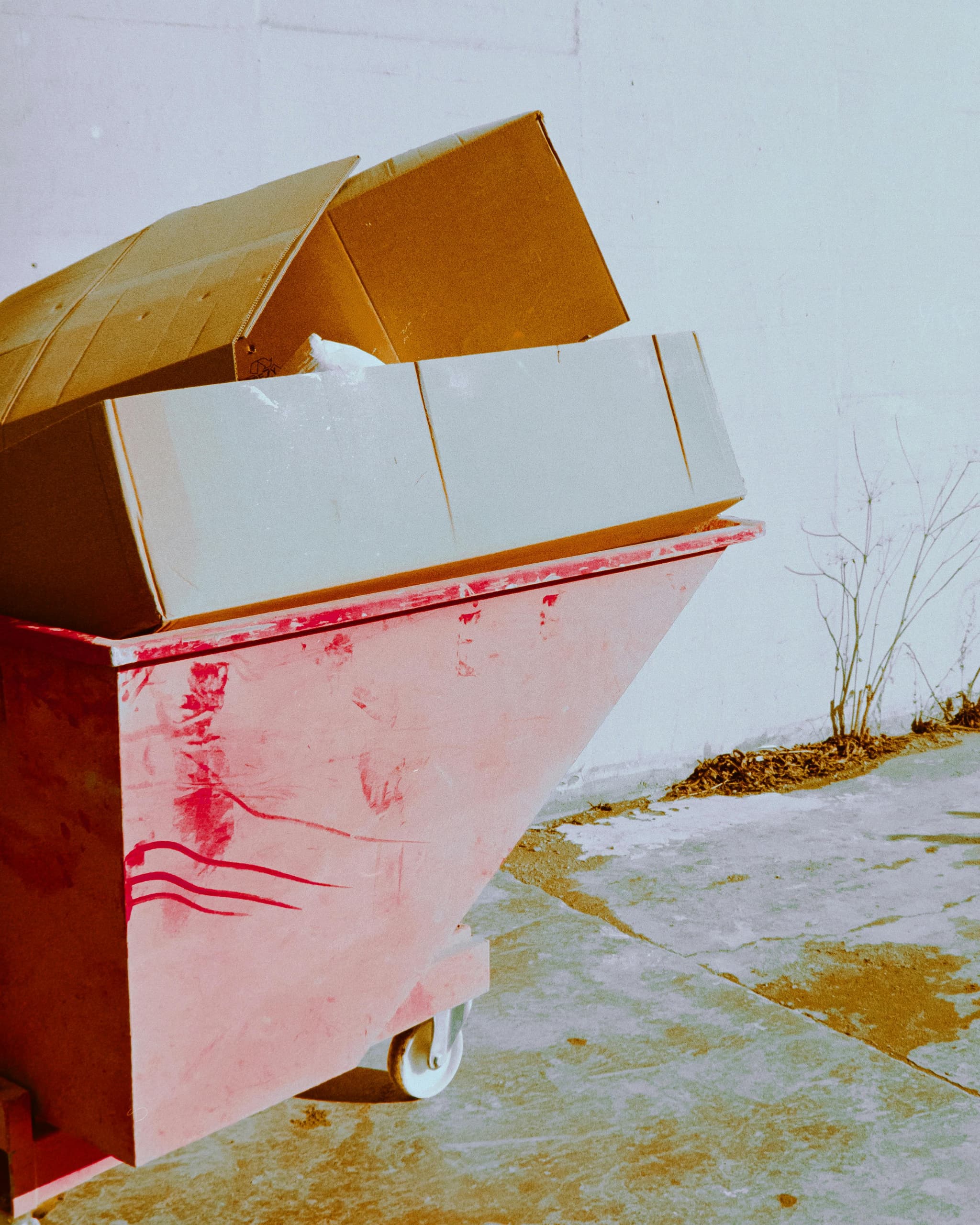 Professional Dumpster Rental In Punta Gorda FL with Flexible Scheduling