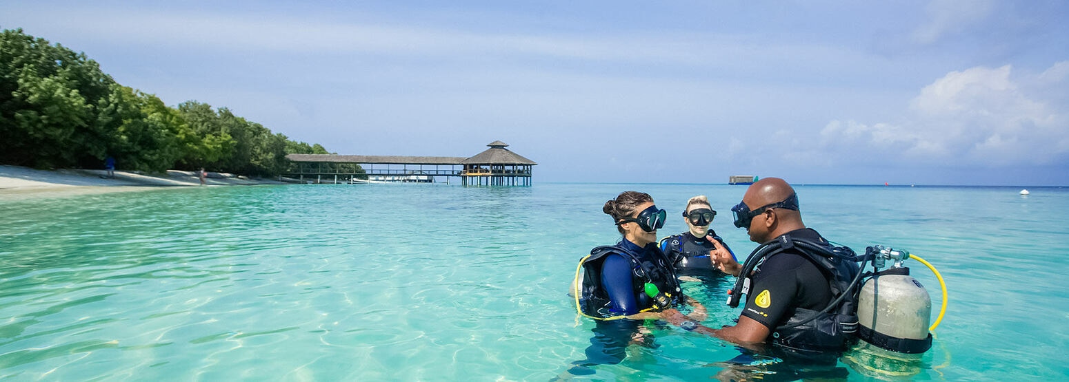 Scuba diving holidays for vegan divers seeking ethical ocean adventures