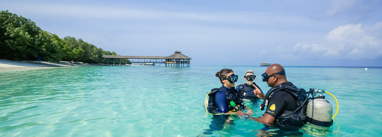 Scuba diving holidays for vegan divers seeking ethical ocean adventures