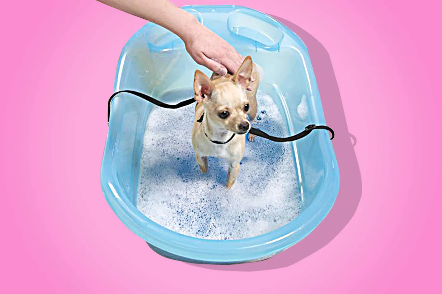 Durable Dog Wash Machines Engineered for Long-Term Performance