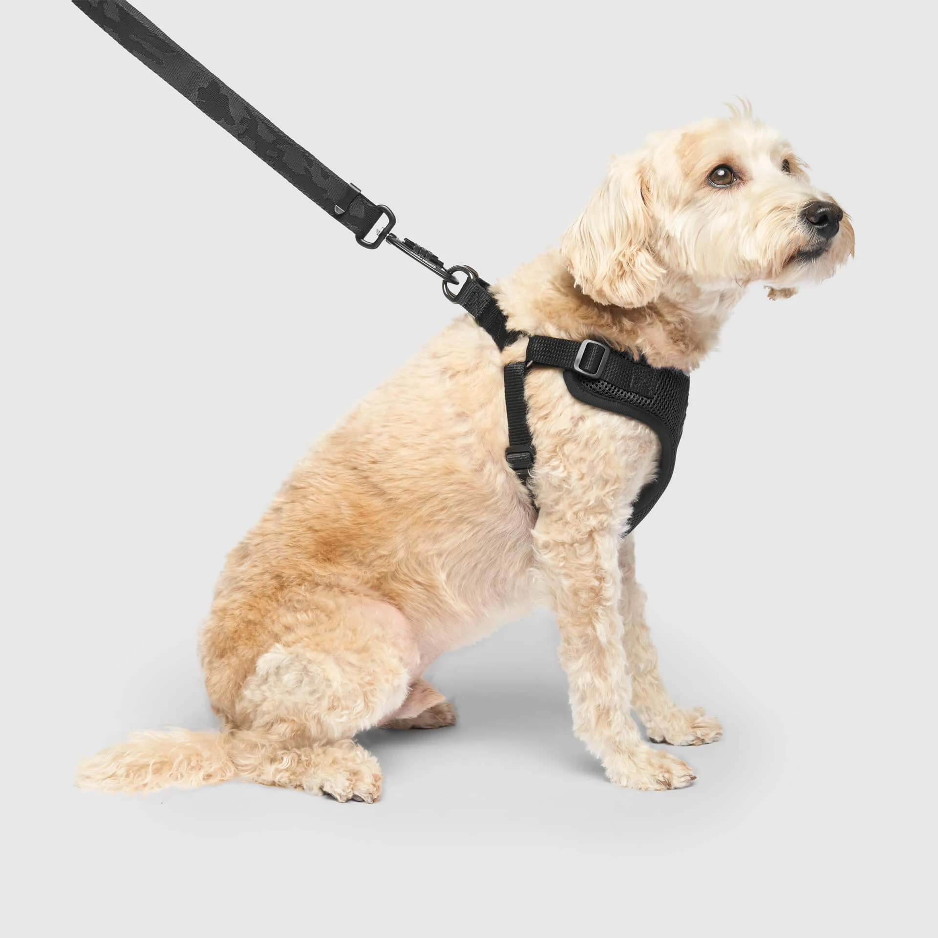 Dog harness supplier OKEYPETS known for professional manufacturing standards
