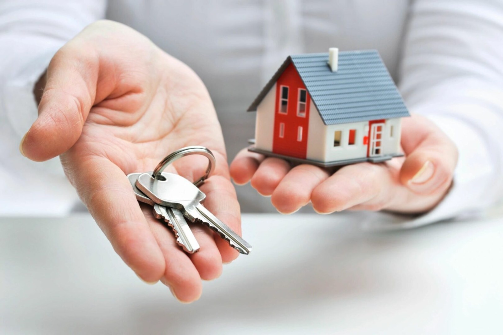 Real Estate Agency | Trusted Property Experts at Pointer