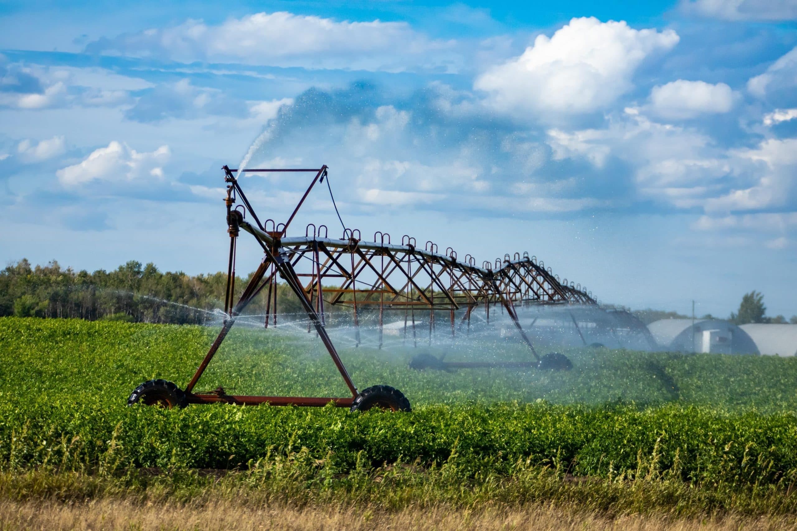 Professional Irrigation Services in Springtown, TX for Residential and Commercial Needs