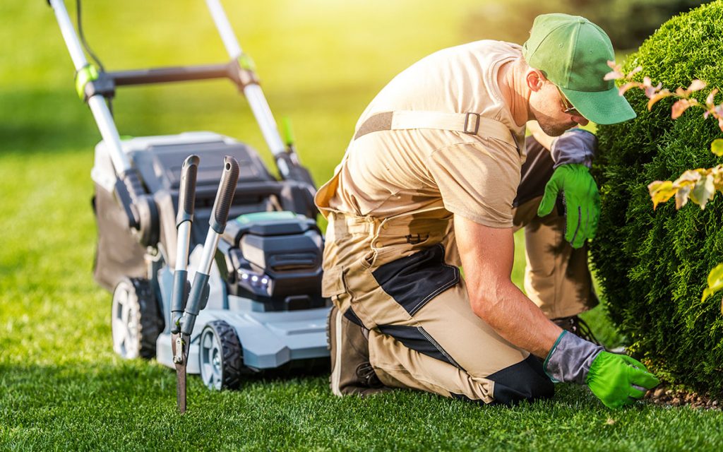 Expert Lawn Care Services for Beautiful Outdoor Spaces