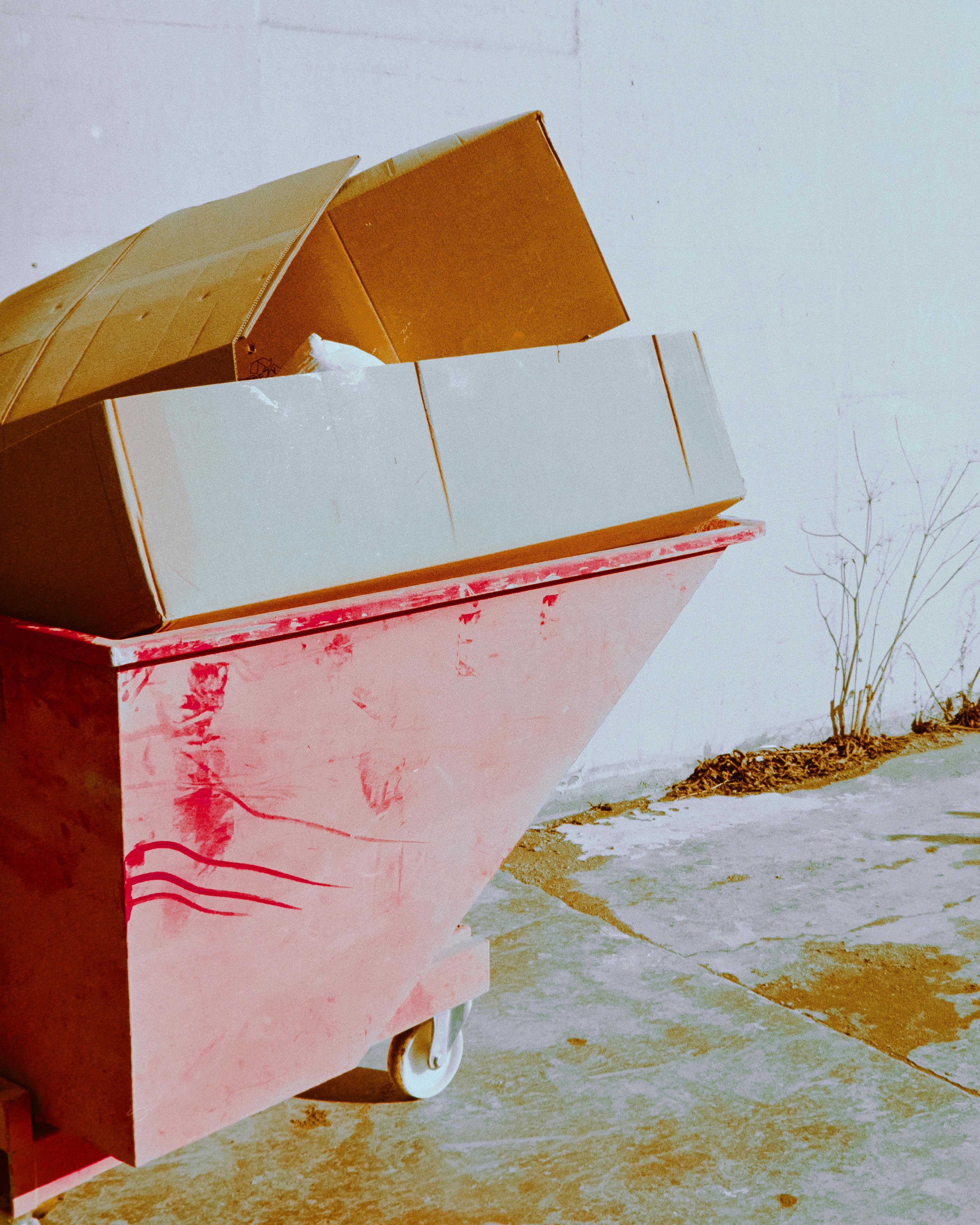 Professional Dumpster Rental In Punta Gorda FL with Flexible Scheduling