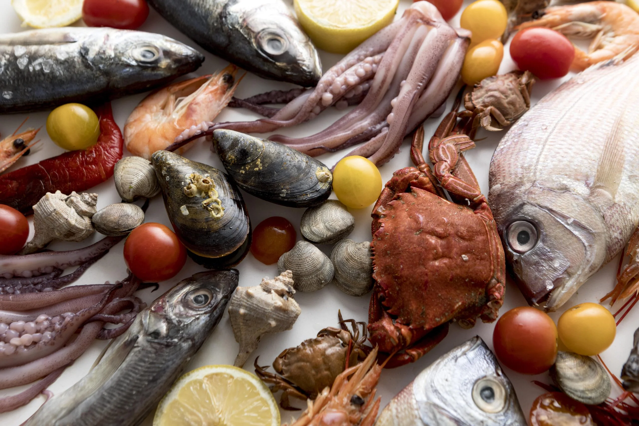 Reliable Premium Seafood Exporter for Restaurants &amp; Distributors